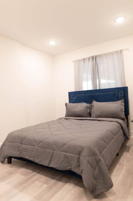 Platinum Palace 1Br 1Ba - Central Dallas Stay Exterior photo